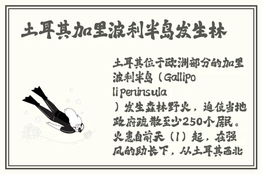 17c吃瓜官网反差婊